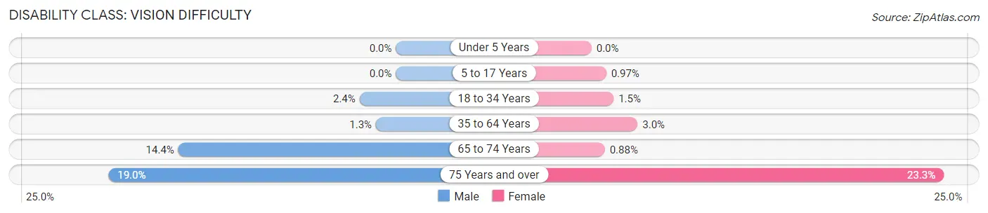 Disability in Zip Code 77087: <span>Vision Difficulty</span>