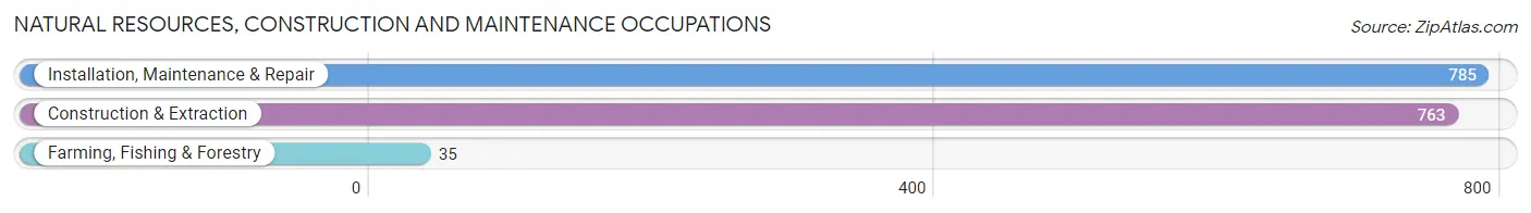 Natural Resources, Construction and Maintenance Occupations in Zip Code 77379