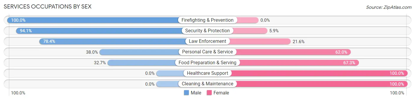 Services Occupations by Sex in Zip Code 77382