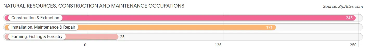 Natural Resources, Construction and Maintenance Occupations in Zip Code 77384