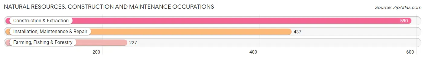 Natural Resources, Construction and Maintenance Occupations in Zip Code 77437