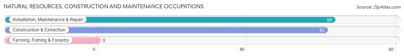 Natural Resources, Construction and Maintenance Occupations in Zip Code 77441