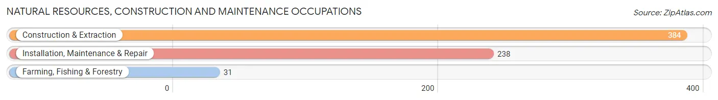 Natural Resources, Construction and Maintenance Occupations in Zip Code 77445