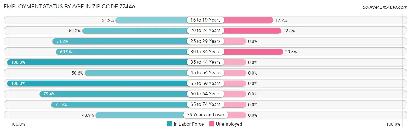 Employment Status by Age in Zip Code 77446