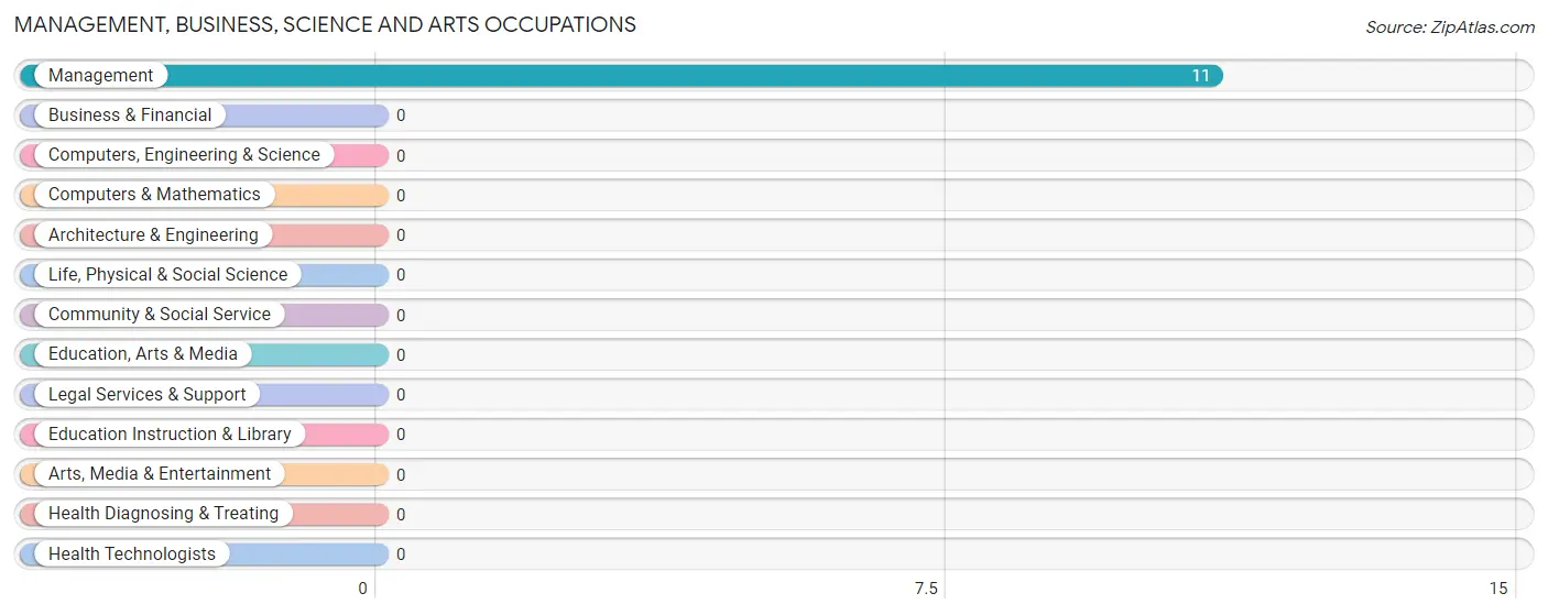 Management, Business, Science and Arts Occupations in Zip Code 77464