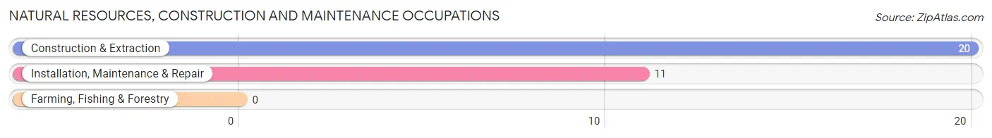 Natural Resources, Construction and Maintenance Occupations in Zip Code 77464