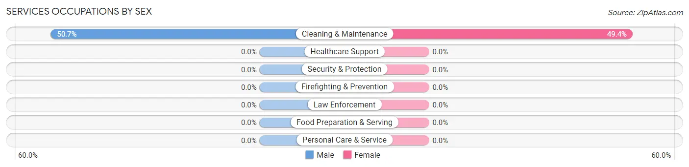 Services Occupations by Sex in Zip Code 77482