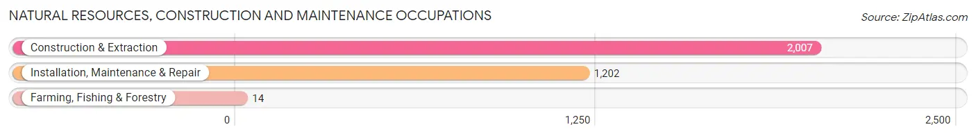 Natural Resources, Construction and Maintenance Occupations in Zip Code 77520