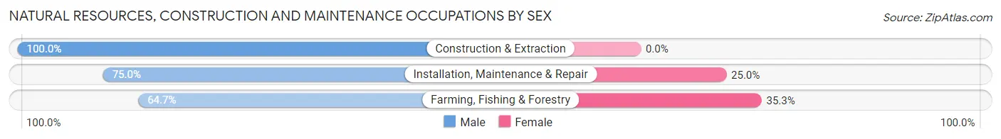 Natural Resources, Construction and Maintenance Occupations by Sex in Zip Code 77538