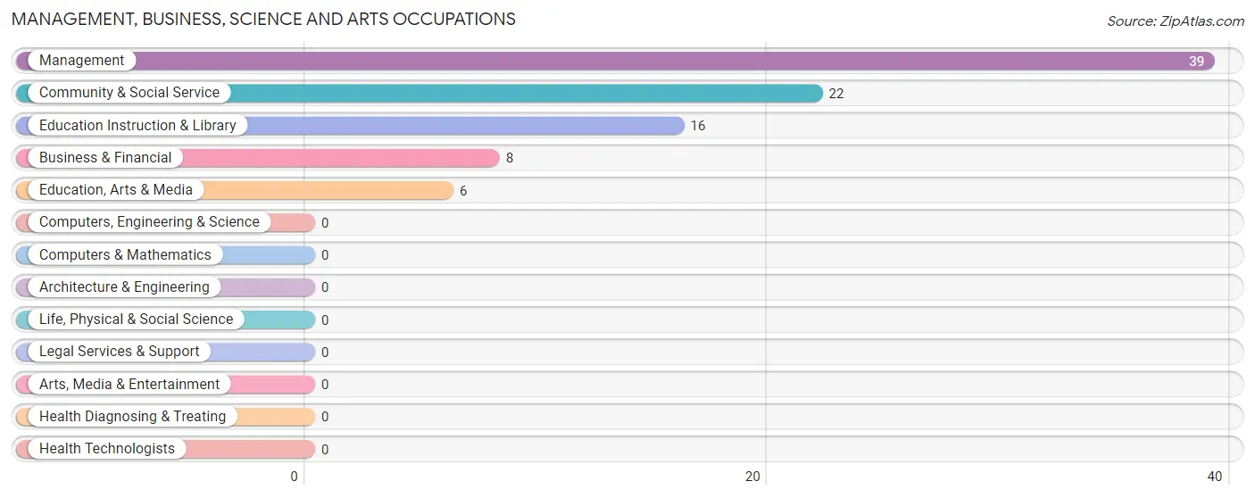 Management, Business, Science and Arts Occupations in Zip Code 77624