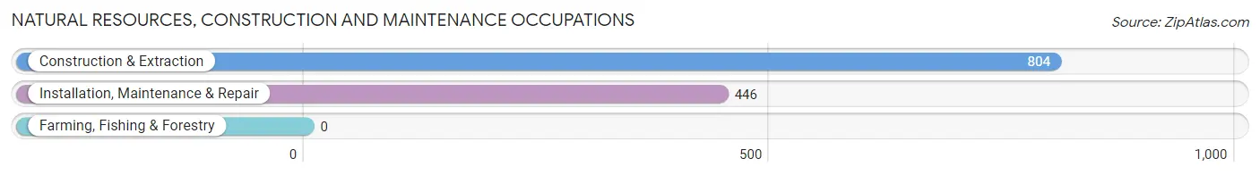 Natural Resources, Construction and Maintenance Occupations in Zip Code 77632