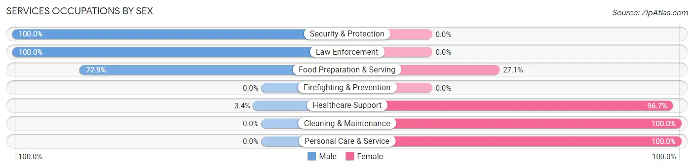 Services Occupations by Sex in Zip Code 77702