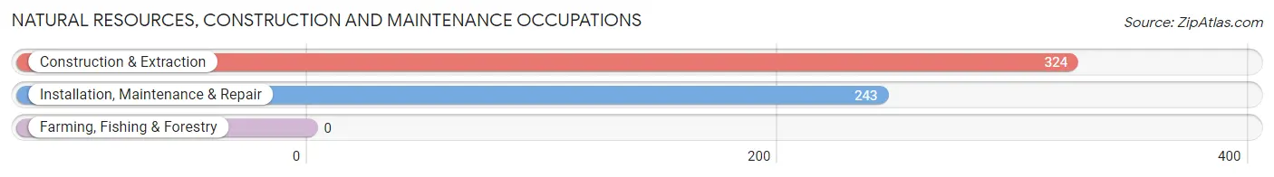 Natural Resources, Construction and Maintenance Occupations in Zip Code 77802