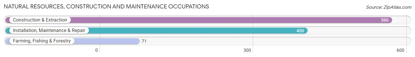 Natural Resources, Construction and Maintenance Occupations in Zip Code 77808