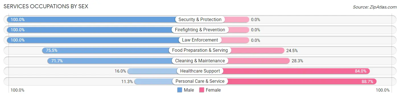 Services Occupations by Sex in Zip Code 77808