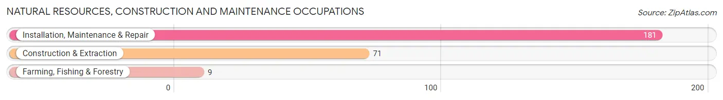 Natural Resources, Construction and Maintenance Occupations in Zip Code 77830