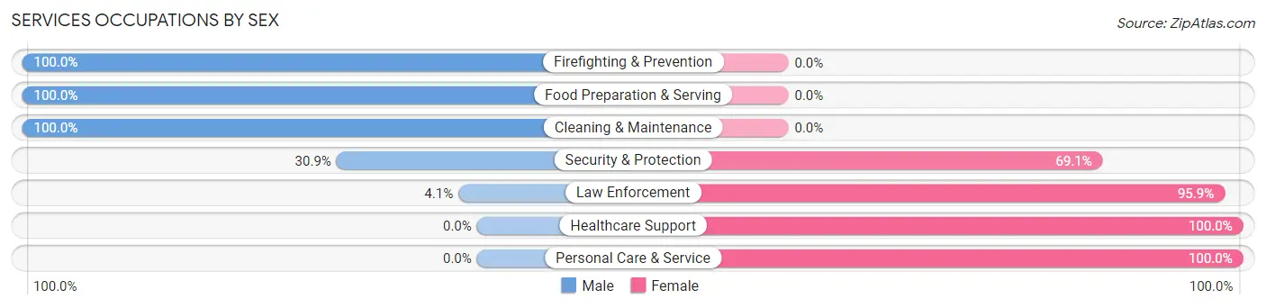 Services Occupations by Sex in Zip Code 77837
