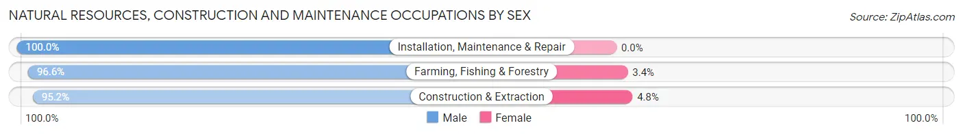 Natural Resources, Construction and Maintenance Occupations by Sex in Zip Code 77840