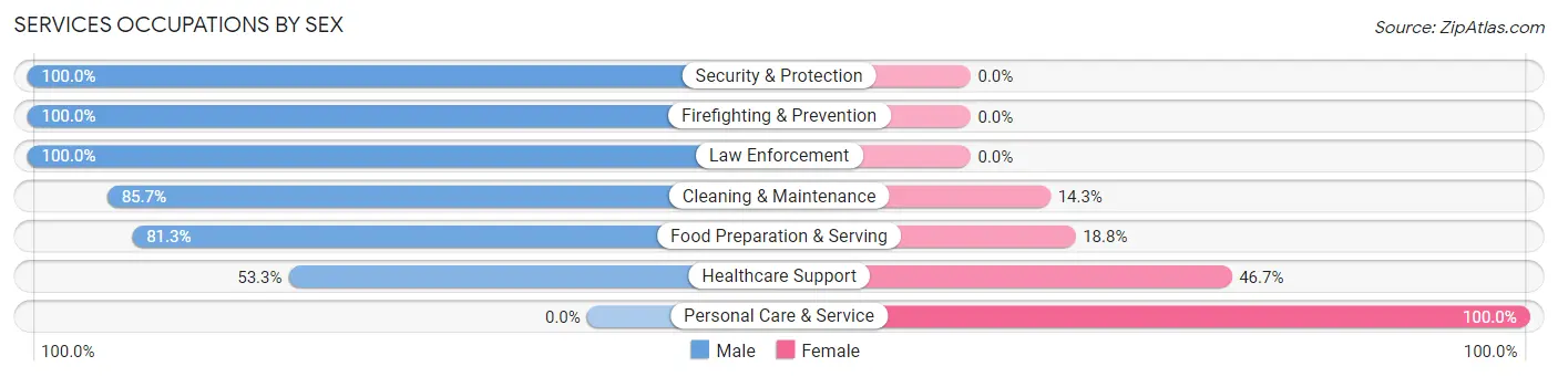 Services Occupations by Sex in Zip Code 77861