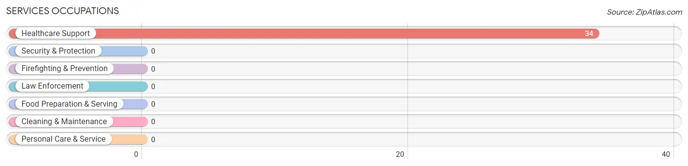 Services Occupations in Zip Code 77876