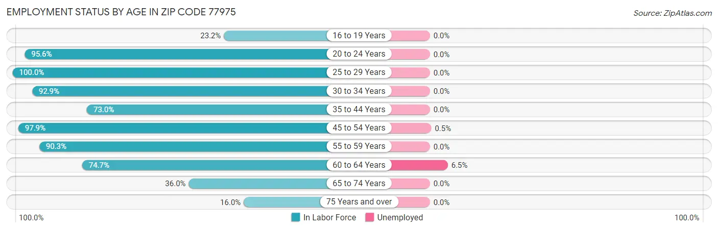 Employment Status by Age in Zip Code 77975