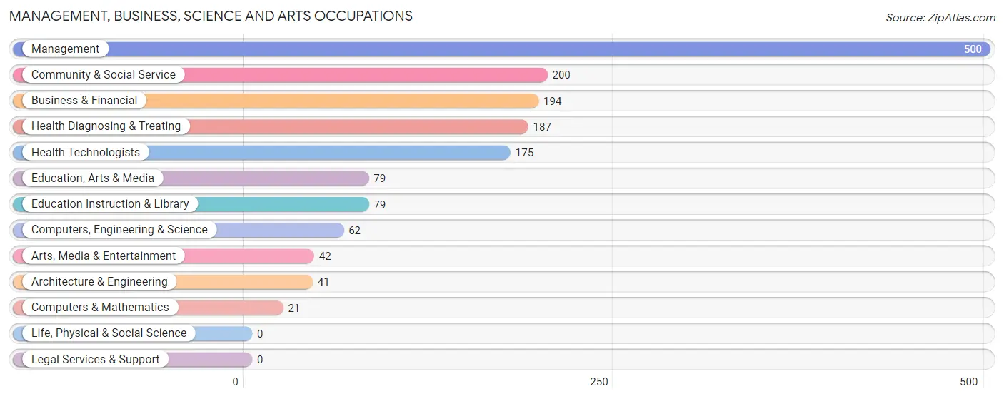 Management, Business, Science and Arts Occupations in Zip Code 78003