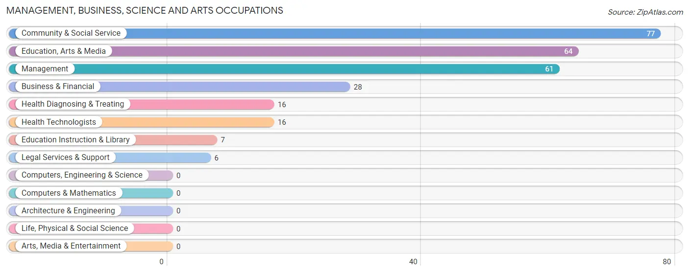 Management, Business, Science and Arts Occupations in Zip Code 78005