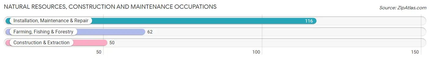 Natural Resources, Construction and Maintenance Occupations in Zip Code 78017