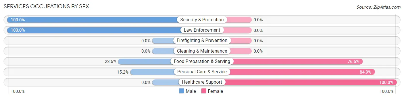 Services Occupations by Sex in Zip Code 78026