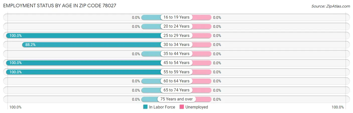 Employment Status by Age in Zip Code 78027