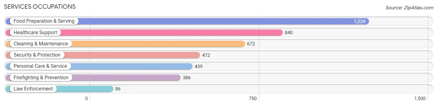 Services Occupations in Zip Code 78028