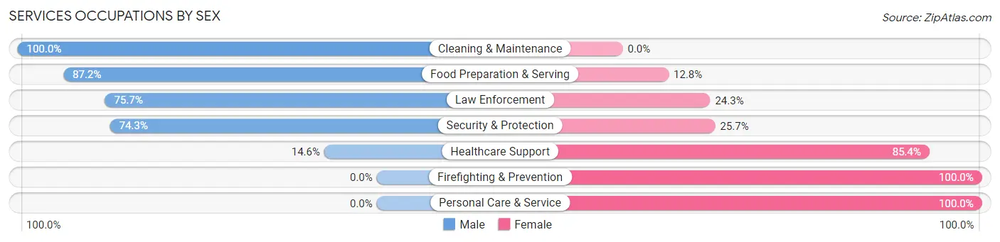 Services Occupations by Sex in Zip Code 78061