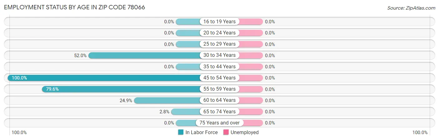 Employment Status by Age in Zip Code 78066