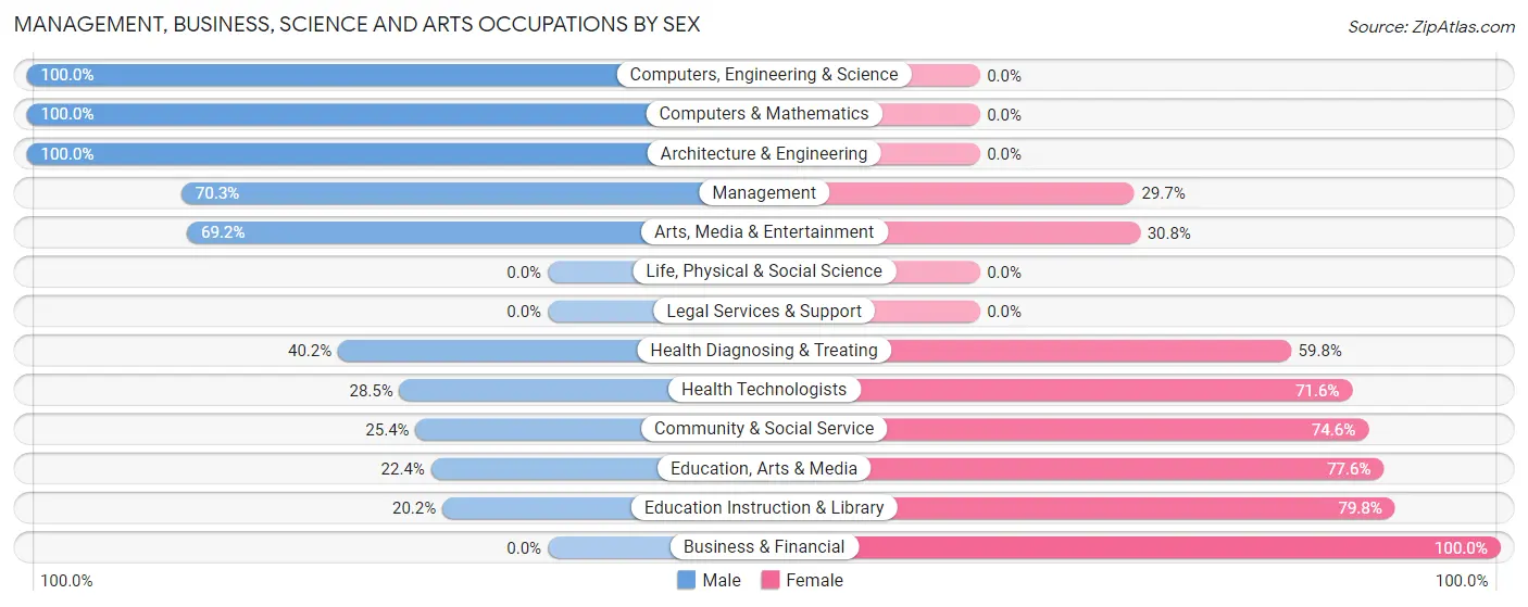 Management, Business, Science and Arts Occupations by Sex in Zip Code 78073