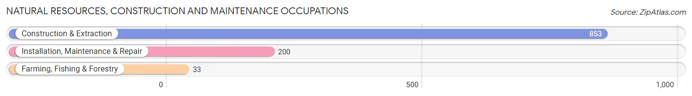 Natural Resources, Construction and Maintenance Occupations in Zip Code 78102