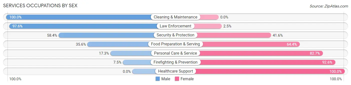 Services Occupations by Sex in Zip Code 78119