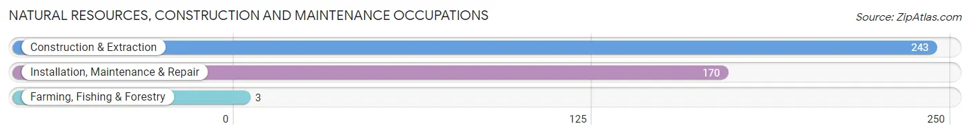 Natural Resources, Construction and Maintenance Occupations in Zip Code 78124