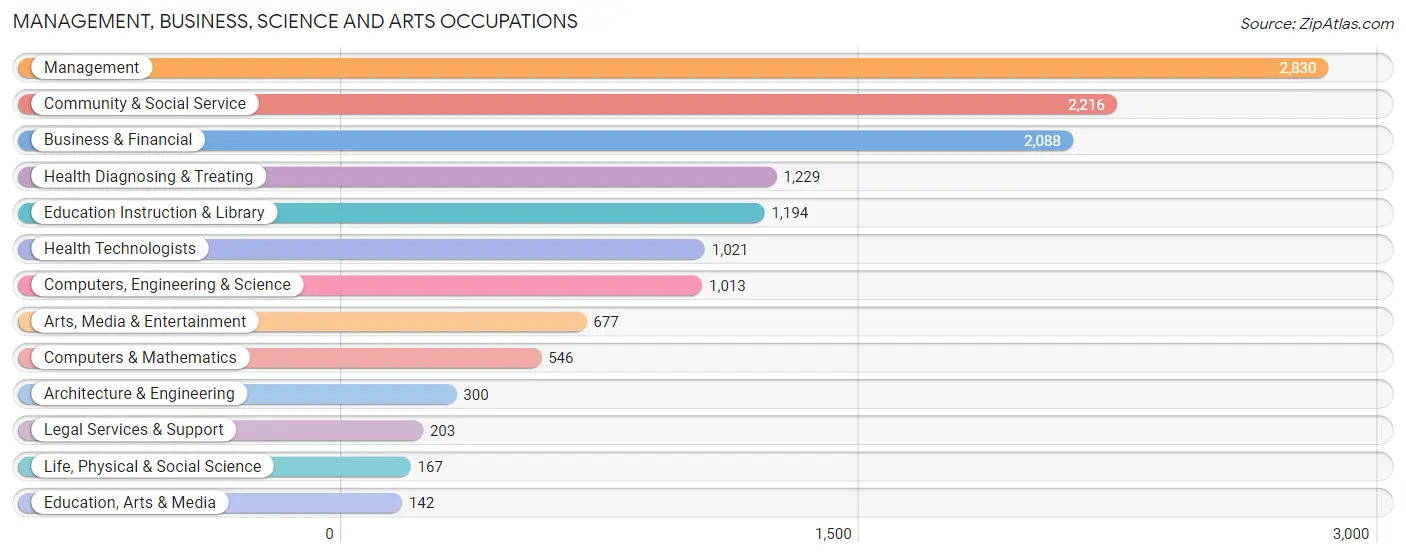 Management, Business, Science and Arts Occupations in Zip Code 78132