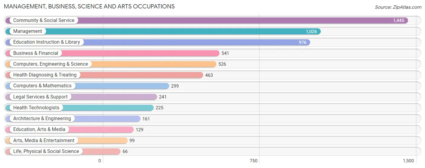 Management, Business, Science and Arts Occupations in Zip Code 78133