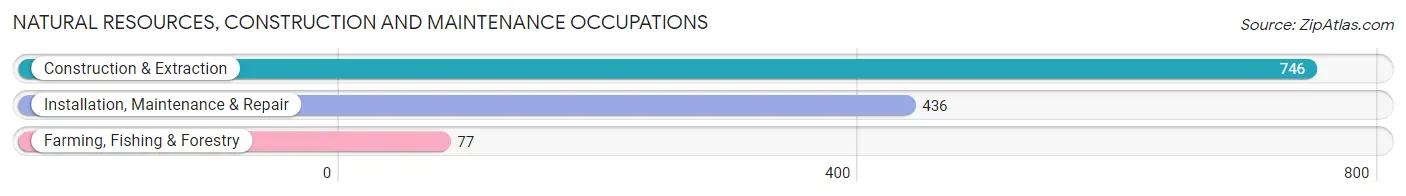 Natural Resources, Construction and Maintenance Occupations in Zip Code 78133