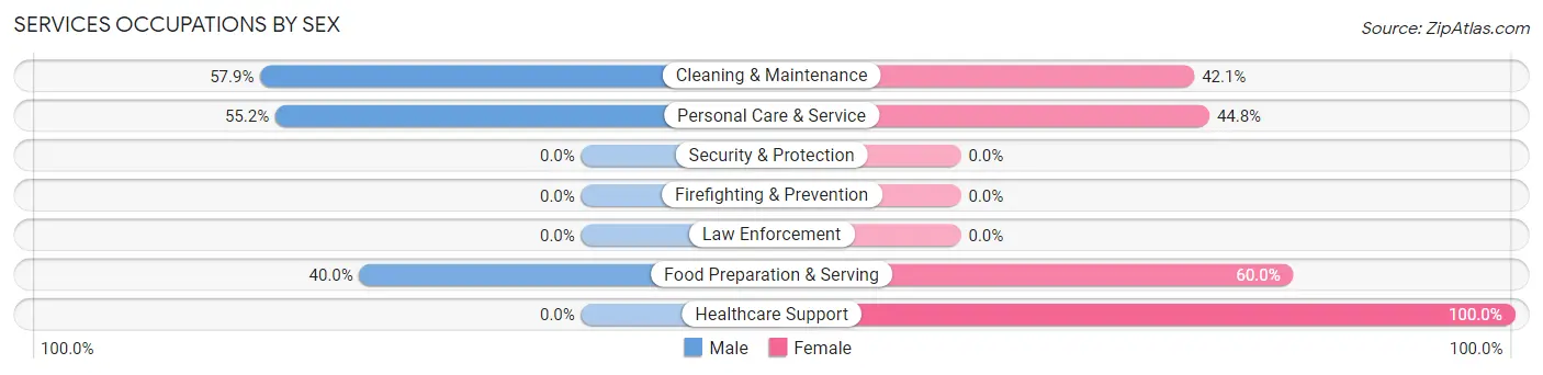 Services Occupations by Sex in Zip Code 78140