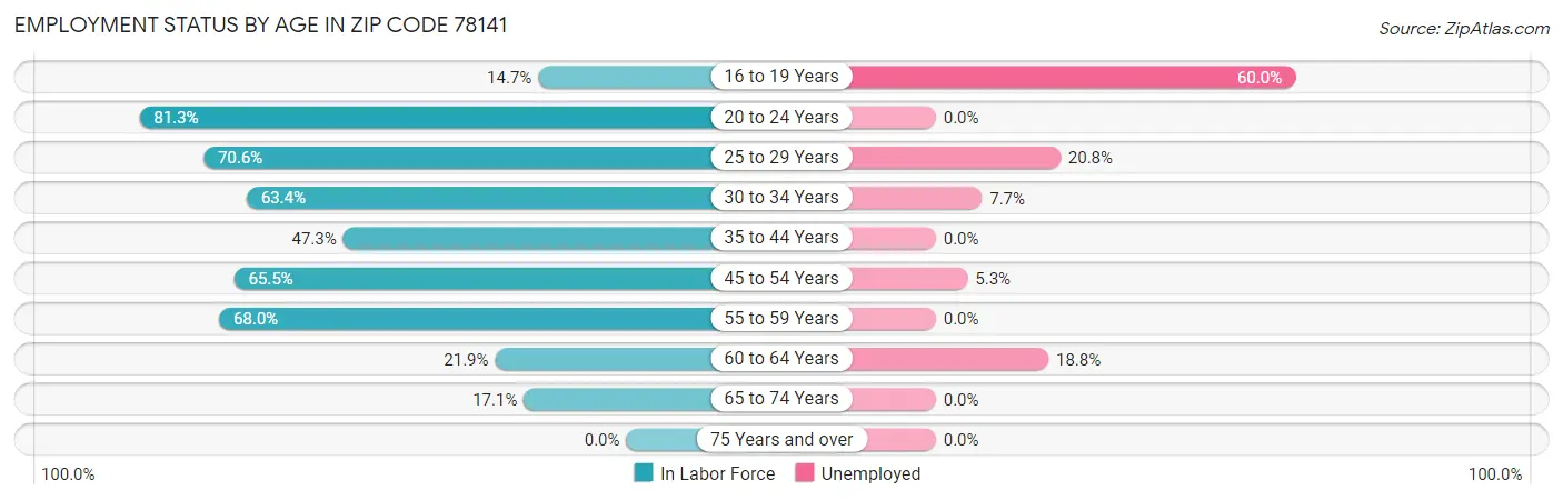 Employment Status by Age in Zip Code 78141