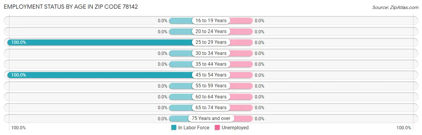 Employment Status by Age in Zip Code 78142