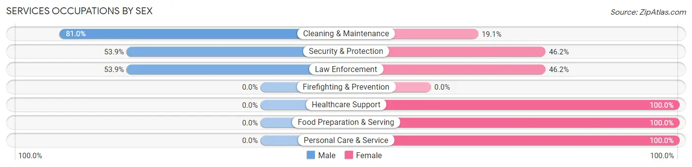 Services Occupations by Sex in Zip Code 78151