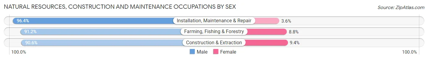 Natural Resources, Construction and Maintenance Occupations by Sex in Zip Code 78155