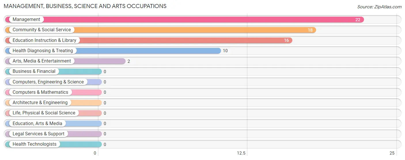 Management, Business, Science and Arts Occupations in Zip Code 78159