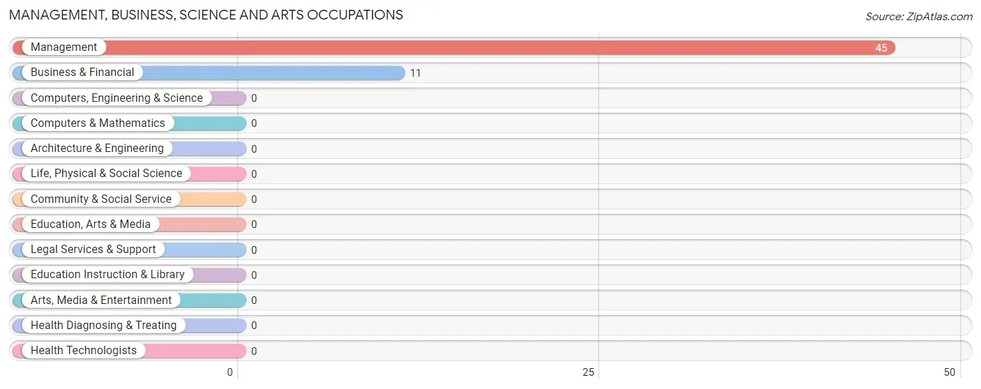 Management, Business, Science and Arts Occupations in Zip Code 78161