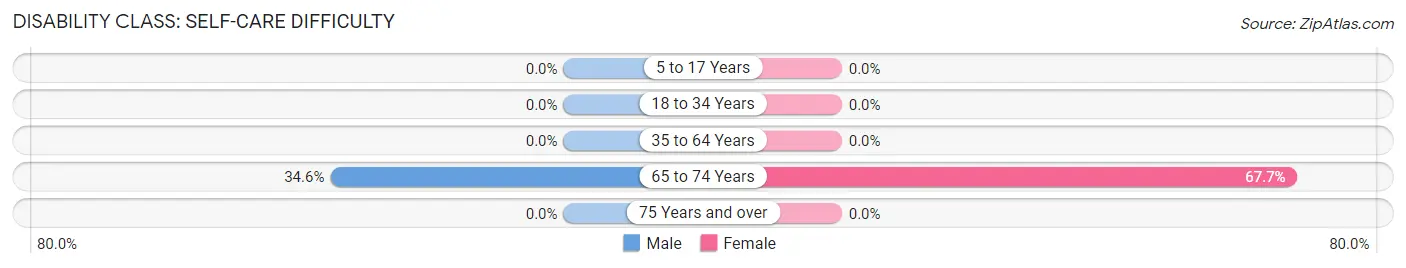 Disability in Zip Code 78161: <span>Self-Care Difficulty</span>