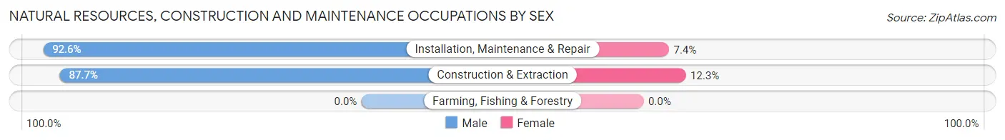 Natural Resources, Construction and Maintenance Occupations by Sex in Zip Code 78202