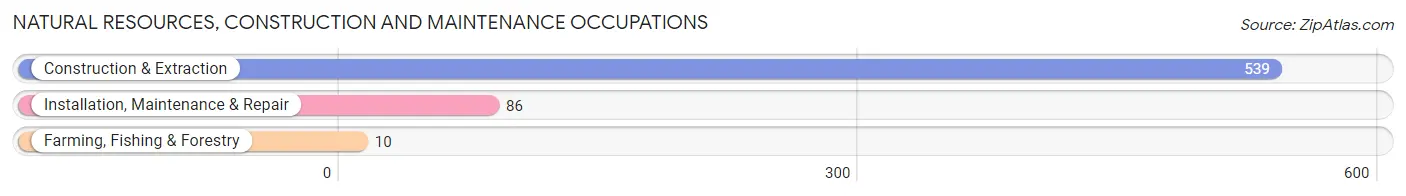 Natural Resources, Construction and Maintenance Occupations in Zip Code 78204